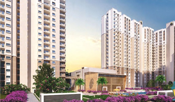 Featured Image of Prestige Evergreen vs Prestige Finsbury Park Hyde: Buyer's Guide 2025