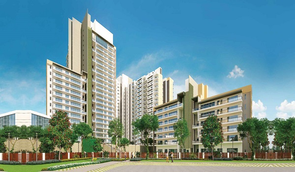 Featured Image of Safe Routes And Scenic Walking Trails In And Around Prestige Evergreen